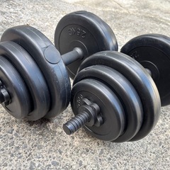 ダンベル10kg ２つセットの画像