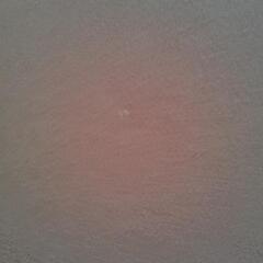 ヨギボーミディの画像