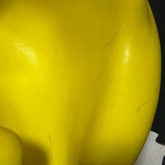 バンボの画像