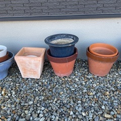 鉢植え　1個100円〜