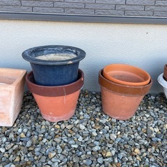 鉢植え　1個50円〜の画像