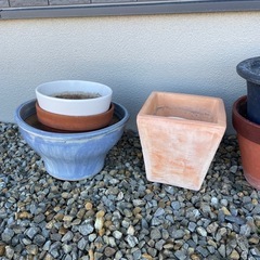 鉢植え　1個50円〜の画像