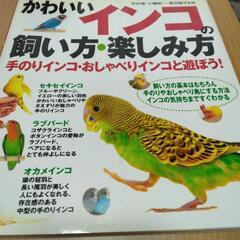 〔お値下げしました！〕［代理投稿］セキセイインコの本セットの画像