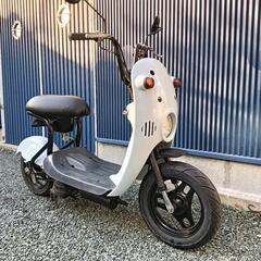 チョイノリ　実動車