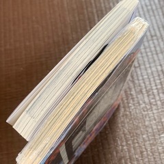 海が走るエンドロール　たらちねジョンの画像