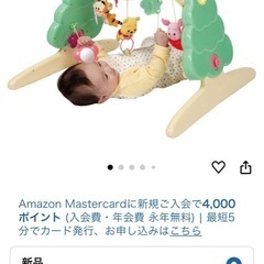 プーさん　メリー　6WAYジムにへんしんメリーの画像