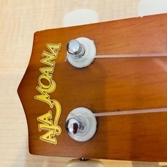 ALAMOANA QUALITYUKULELEアラモアナクオリティーウクレレUK -100G/MHの画像