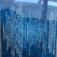 アナと雪の女王　CDの画像