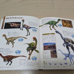 【知育にどうぞ！】（小学館の図鑑 NEO）恐竜の画像