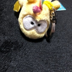 割引きセール中❗️タツノオトシゴ？の画像