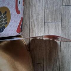 鬼 お面 節分の画像