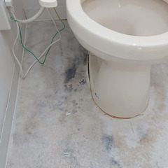 トイレのカビを掃除できる方を探しております【20】