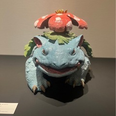 【2/2と2/11】未経験歓迎！フリスビーサークル！ - スポーツ