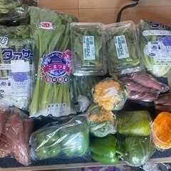 野菜　100円〜