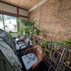 ホテルの閉店セール　最終処分　ほとんど無料で差し上げます。の画像
