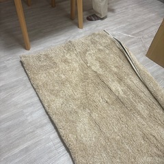 美品カーペット　埃がつかない　ニトリ
　　