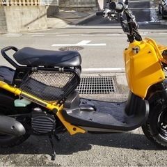 ホンダ　ズーマー　整備済み　状態良いので見に来てくださいの画像