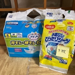 大人用紙おむつ22枚/敷きパッド3枚