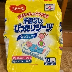 大人用紙おむつ22枚/敷きパッド3枚の画像