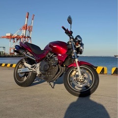 HONDA HORNET (ホーネット)2001年モデル
250cc の画像