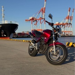 HONDA HORNET (ホーネット)2001年モデル
250cc の画像