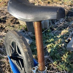 ストライダーの画像