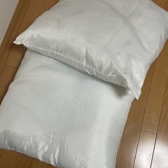 ニトリ ジャンボクッション本体 ２個セット