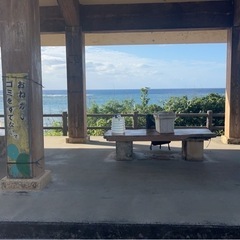 １月１５日(水)１０時〜海岸でご飯作りませんか？？