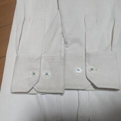 和泉市立信太中学校制服セットの画像