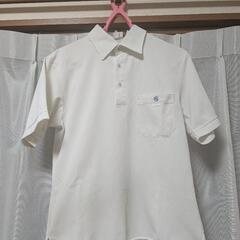 和泉市立信太中学校制服セットの画像