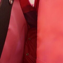 ディズニープリンセス　キャリーバッグの画像