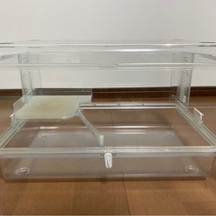 受け取り予定