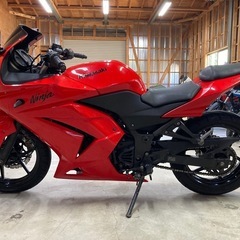 カワサキ NINJA250Rの画像