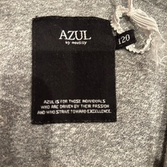 AZULの画像