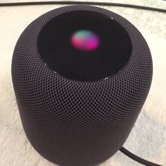 お値下げ中！ Apple HomePod 第1世代 MQHW2J/A A1639 スペースグレイ