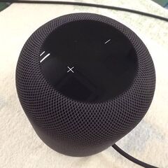 お値下げ中！ Apple HomePod 第1世代 MQHW2J/A A1639 スペースグレイ
