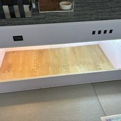 【おすすめ】リクガメ飼育セット