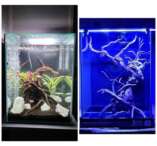 300水槽 水槽台 外掛けフィルター LEDプレミアム照明