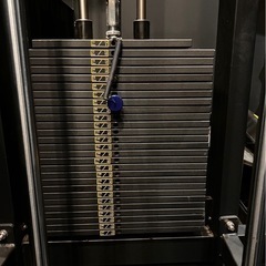 アシストチンニング/ディップス
の画像