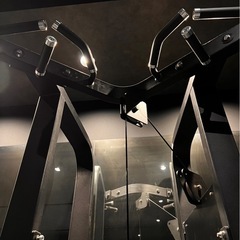 アシストチンニング/ディップス
の画像