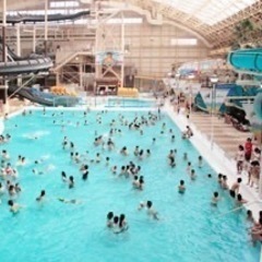 ハワイアンズ　入場券  