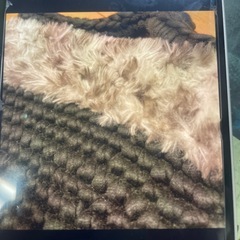 ズパゲッティ
の画像