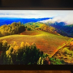 LG gram +view モバイルモニター