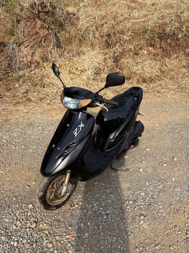 ホンダ ライブディオZX 本物 (検)原付き オートバイ スクーター バイク