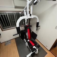 IROTEC  NEWマルチホームDX150ポンドタイプV2