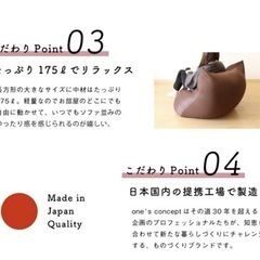 【特大ビーズソファ】Daraction２の画像