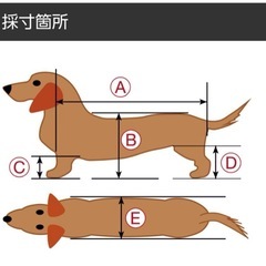 小型犬用車椅子⭐️値引き交渉可⭐️の画像