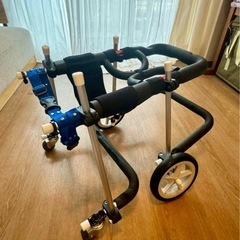 小型犬用車椅子⭐️値引き交渉可⭐️