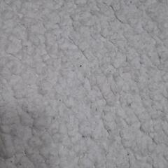 セーラームーン　3COINS　ブランケット　ひざ掛け　スリコの画像
