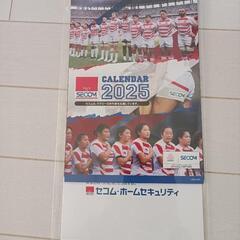 新品未開封日本代表ラグビー男女写真入り卓上カレンダー　セコムです...